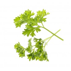 Parsley - Seed pods
